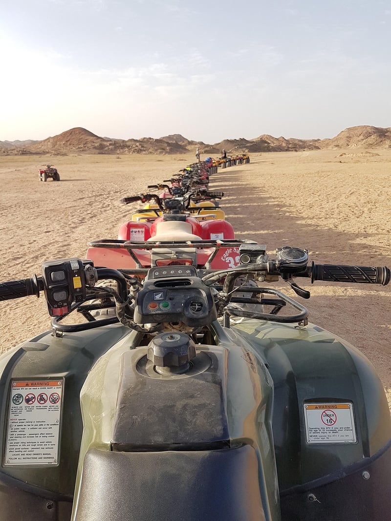Safari Excursions